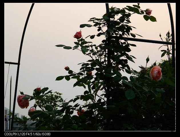 nEO_IMG_���� 138.jpg