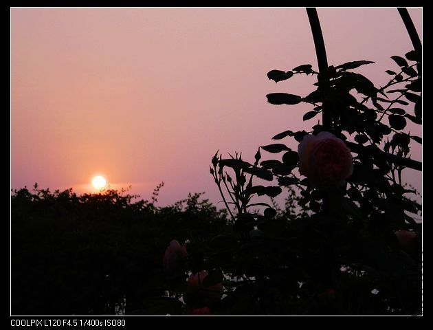 nEO_IMG_���� 174.jpg