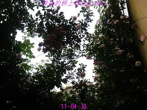 nEO_IMG_��Ƭ 022.jpg