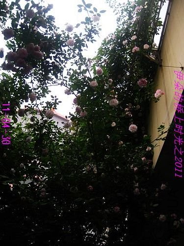 nEO_IMG_��Ƭ 023.jpg