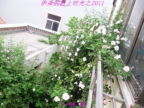 nEO_IMG_��Ƭ 030.jpg