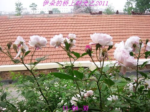 nEO_IMG_��Ƭ 033.jpg