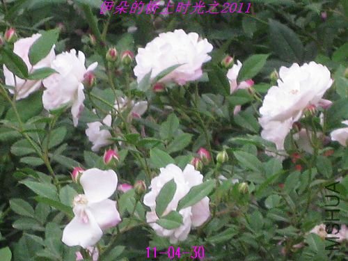 nEO_IMG_��Ƭ 048.jpg