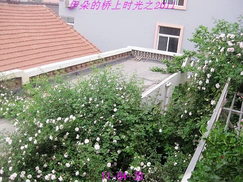 nEO_IMG_��Ƭ 041.jpg