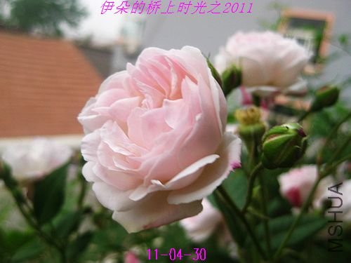 nEO_IMG_��Ƭ 065.jpg