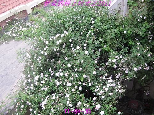 nEO_IMG_��Ƭ 043.jpg