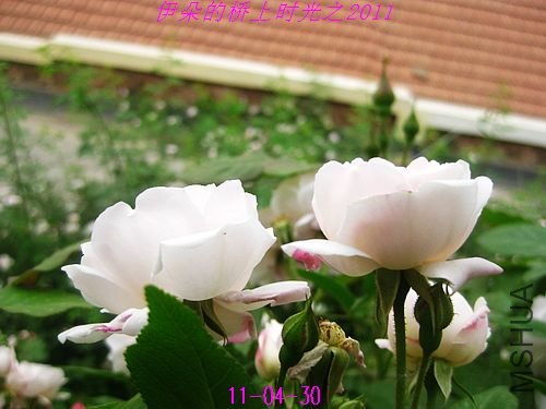 nEO_IMG_��Ƭ 094.jpg