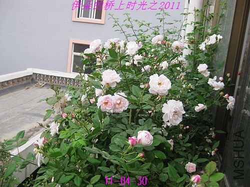 nEO_IMG_��Ƭ 074.jpg