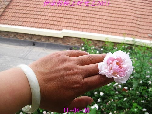 nEO_IMG_��Ƭ 092.jpg