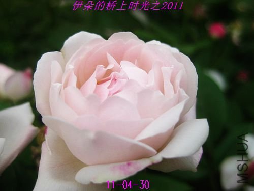 nEO_IMG_��Ƭ 063.jpg