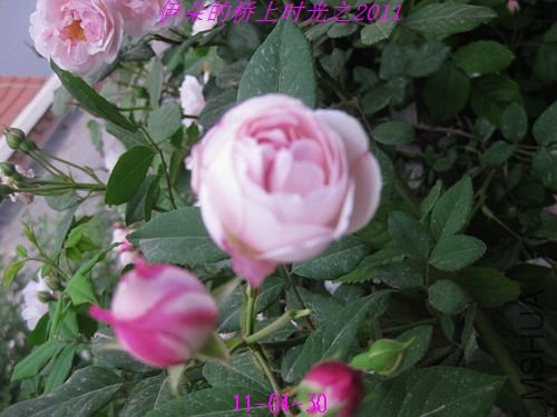 nEO_IMG_��Ƭ 078.jpg