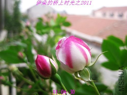 nEO_IMG_��Ƭ 060.jpg