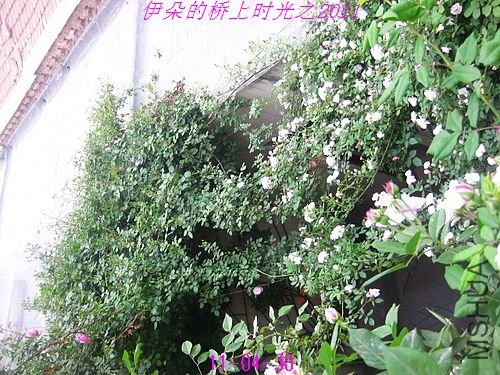 nEO_IMG_��Ƭ 062.jpg