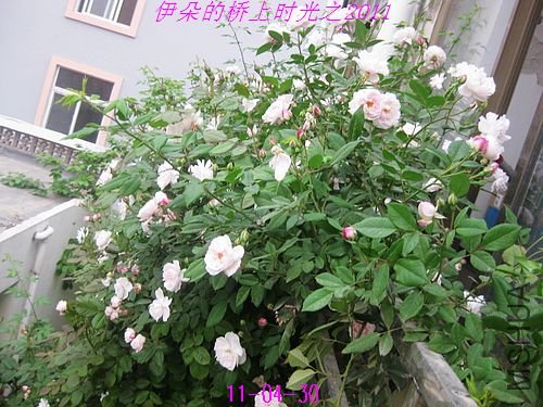 nEO_IMG_��Ƭ 075.jpg