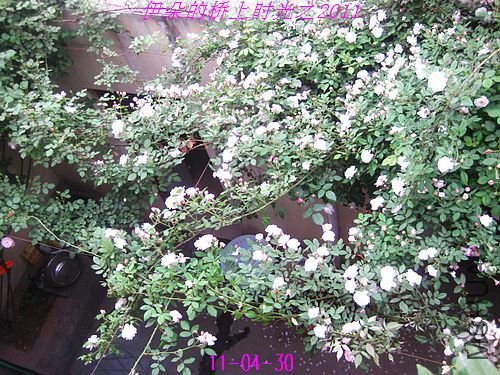 nEO_IMG_��Ƭ 089.jpg