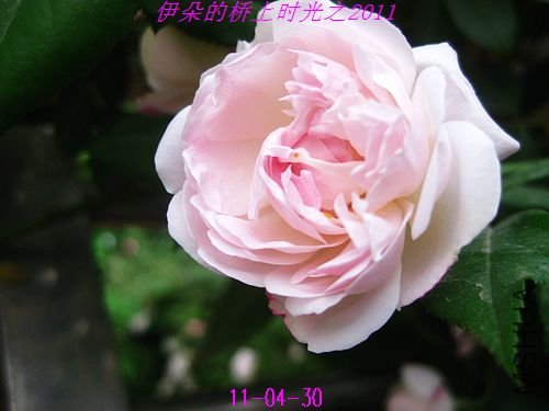 nEO_IMG_��Ƭ 069.jpg