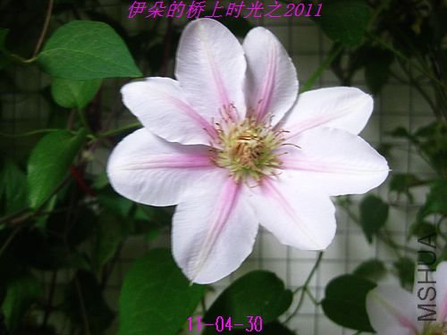 nEO_IMG_��Ƭ 004.jpg