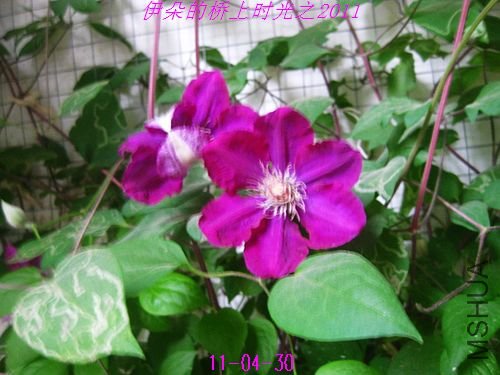 nEO_IMG_��Ƭ 006.jpg