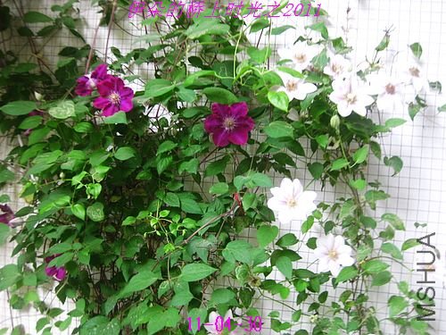 nEO_IMG_��Ƭ 003.jpg