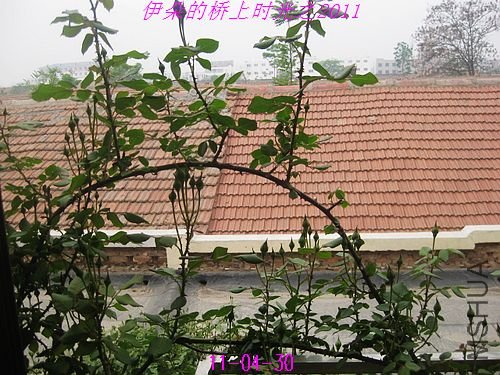 nEO_IMG_��Ƭ 046.jpg