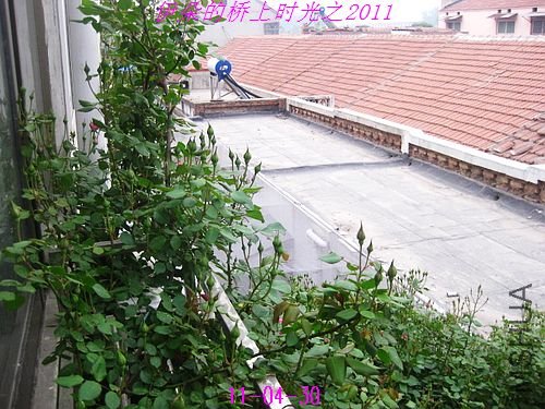 nEO_IMG_��Ƭ 028.jpg