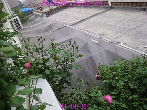 nEO_IMG_��Ƭ 045.jpg