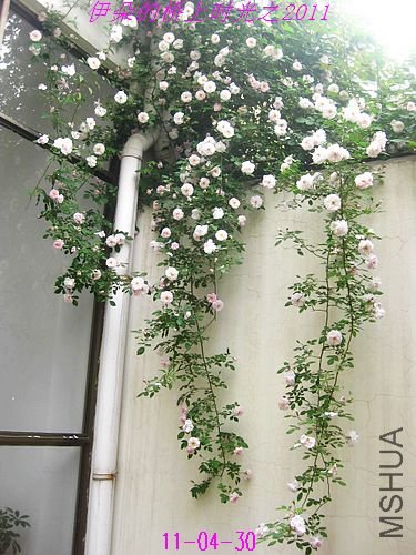 nEO_IMG_��Ƭ 114.jpg