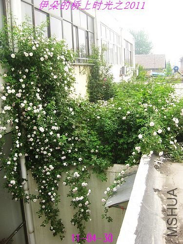 nEO_IMG_��Ƭ 014.jpg