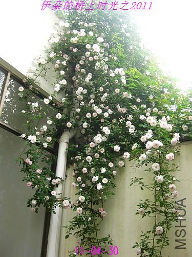 nEO_IMG_��Ƭ 115.jpg