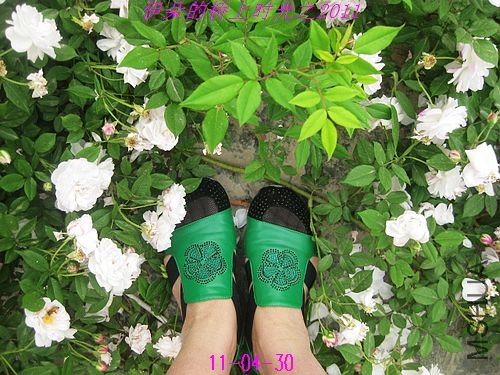 nEO_IMG_��Ƭ 078.jpg