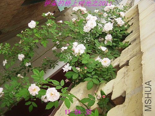 nEO_IMG_��Ƭ 043.jpg