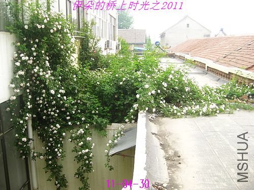 nEO_IMG_��Ƭ 016.jpg