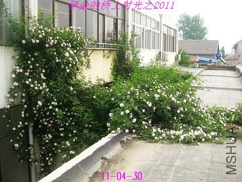 nEO_IMG_��Ƭ 015.jpg