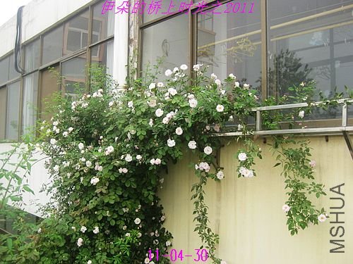 nEO_IMG_��Ƭ 034.jpg