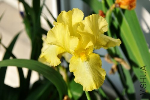 DSC_0785.jpg