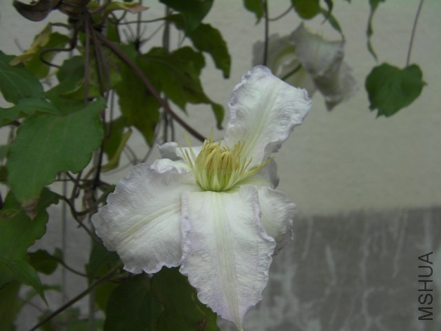 SANY0100.JPG