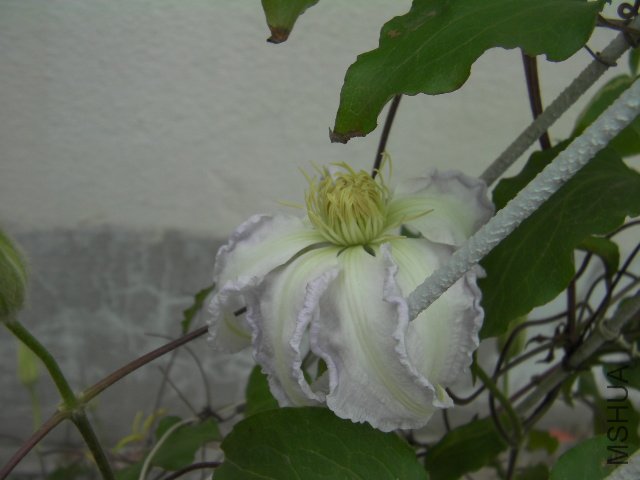 SANY0101.JPG