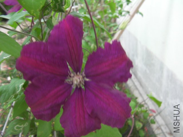 SANY0104.JPG