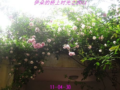 nEO_IMG_��Ƭ 123.jpg