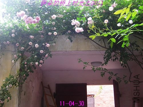 nEO_IMG_��Ƭ 122.jpg