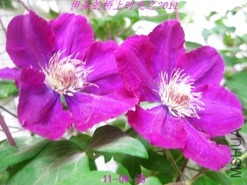 nEO_IMG_��Ƭ 181.jpg