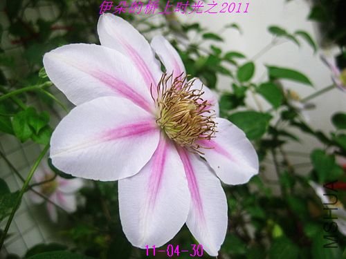 nEO_IMG_��Ƭ 180.jpg