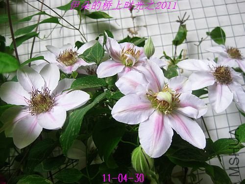 nEO_IMG_��Ƭ 121.jpg