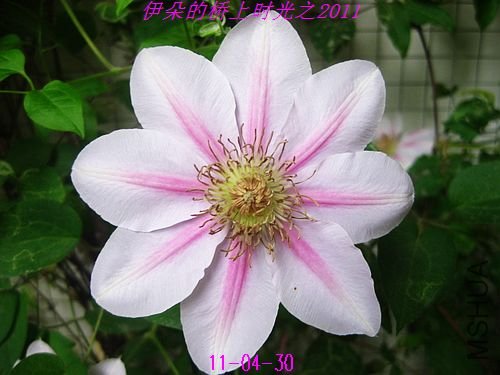 nEO_IMG_��Ƭ 120.jpg