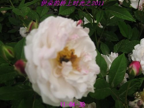 nEO_IMG_��Ƭ 093.jpg