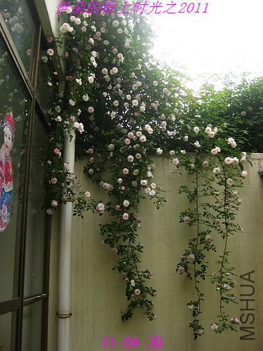 nEO_IMG_��Ƭ 112.jpg