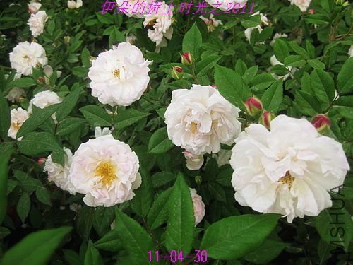 nEO_IMG_��Ƭ 092.jpg