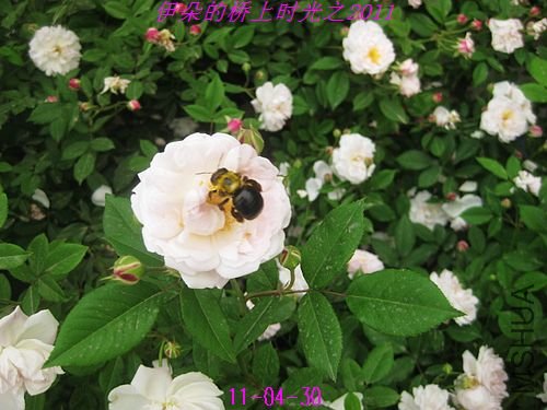 nEO_IMG_��Ƭ 094.jpg