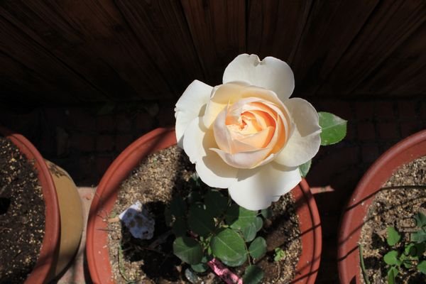 ��Ƭ 049.jpg