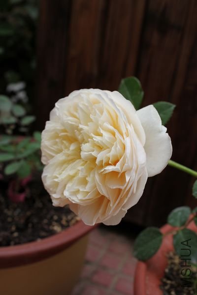 ��Ƭ 058.jpg